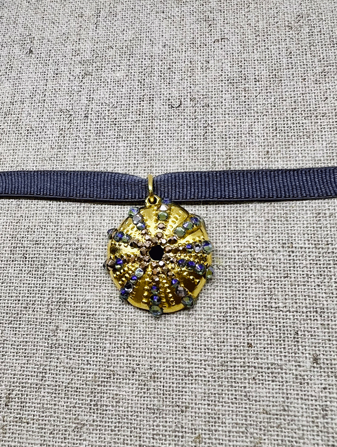 Chocker Sea Urchin