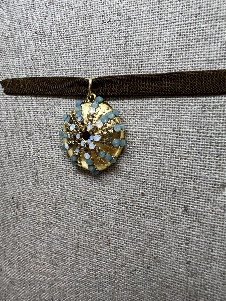 Chocker Sea Urchin