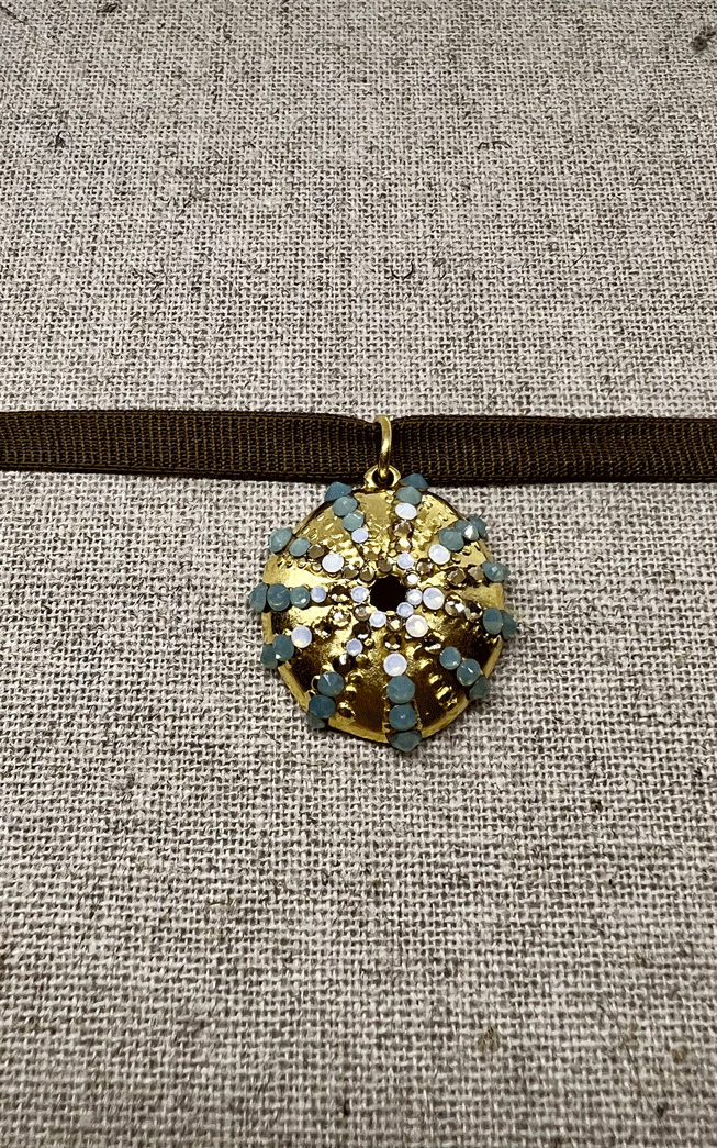 Chocker Sea Urchin