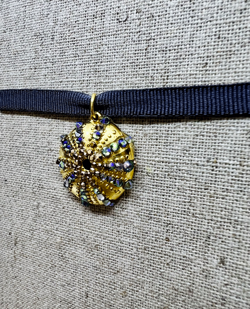 Chocker Sea Urchin
