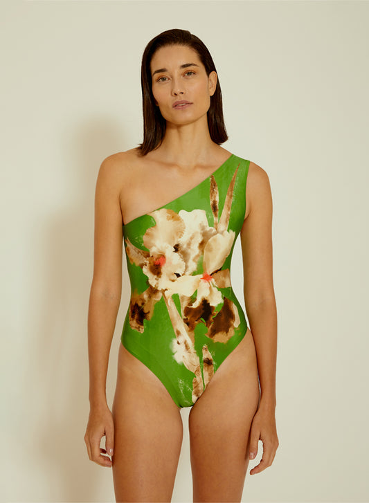 Iris Asymmetrical One-Piece Swimsuit